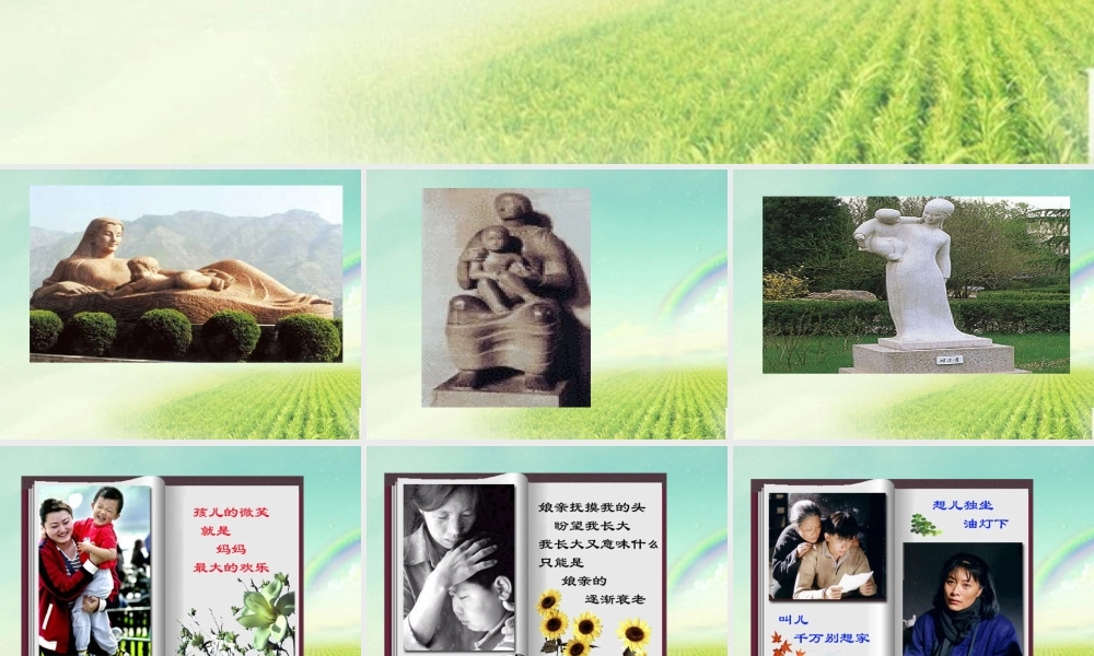 高中语文 大堰河我的保姆6课件 新人教版必修1 课件