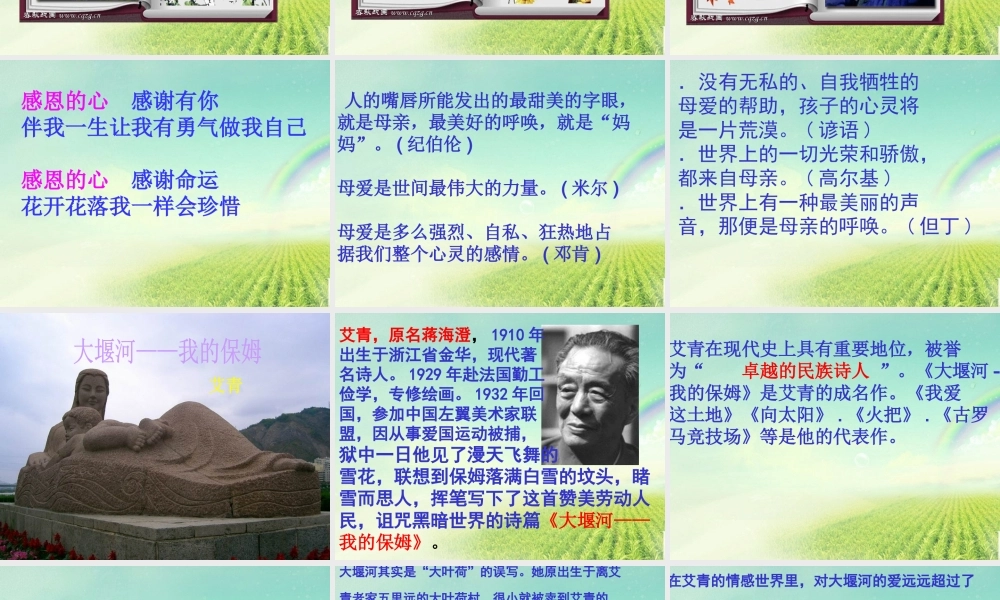 高中语文 大堰河我的保姆6课件 新人教版必修1 课件