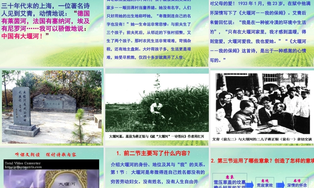 高中语文 大堰河我的保姆6课件 新人教版必修1 课件