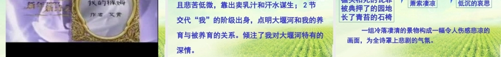 高中语文 大堰河我的保姆6课件 新人教版必修1 课件