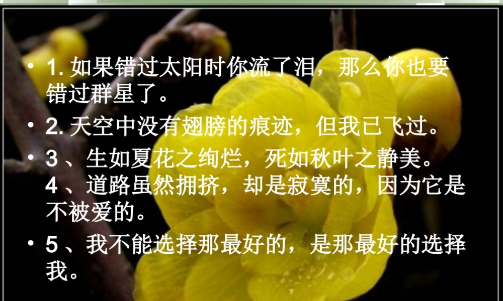 高中语文(素芭)课件3 新人教版选修 课件