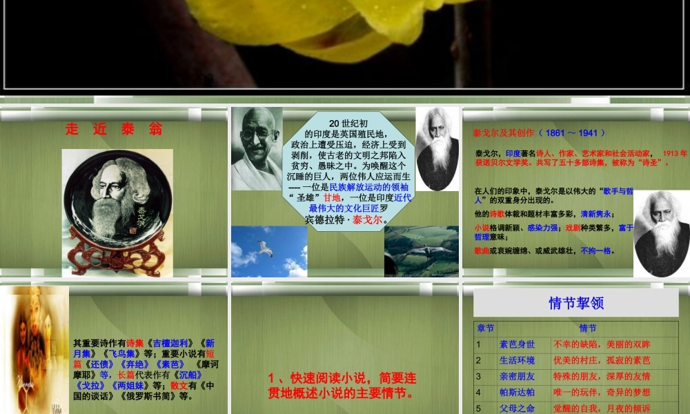 高中语文(素芭)课件3 新人教版选修 课件