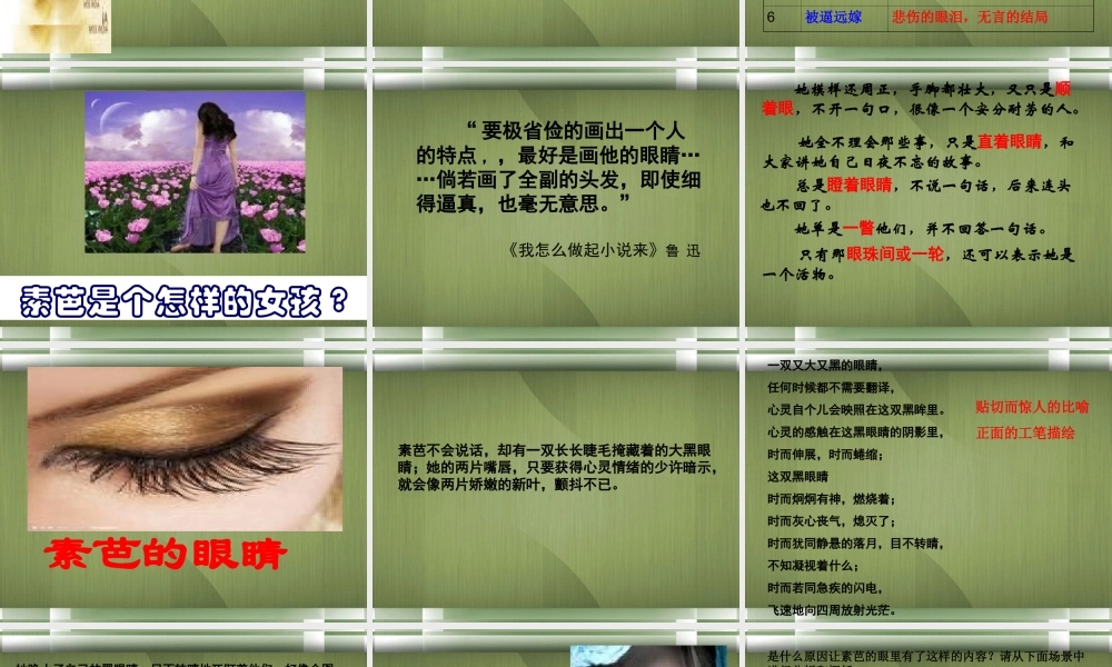 高中语文(素芭)课件3 新人教版选修 课件