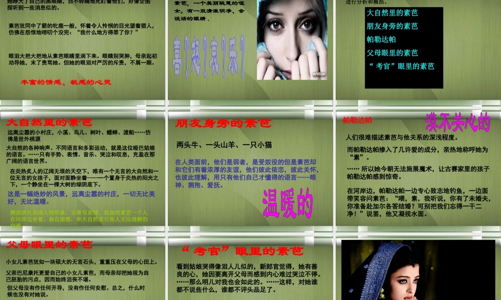 高中语文(素芭)课件3 新人教版选修 课件