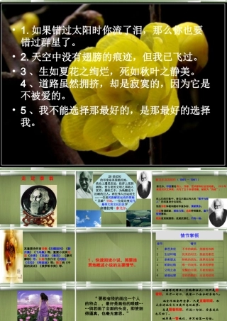 高中语文(素芭)课件3 新人教版选修 课件