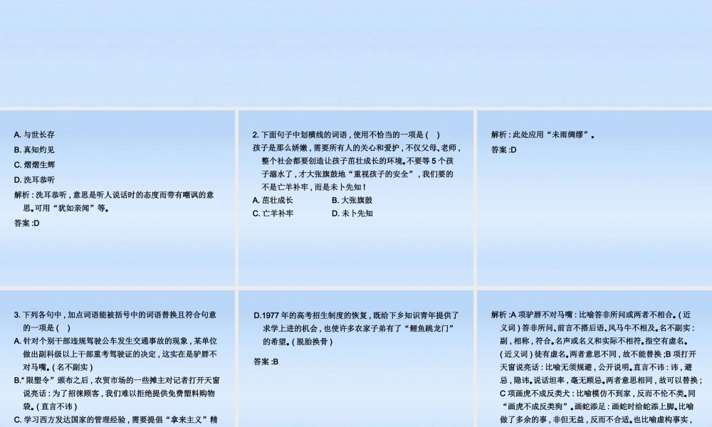 高考语文 正确使用词语(熟语)(3)复习练习课件