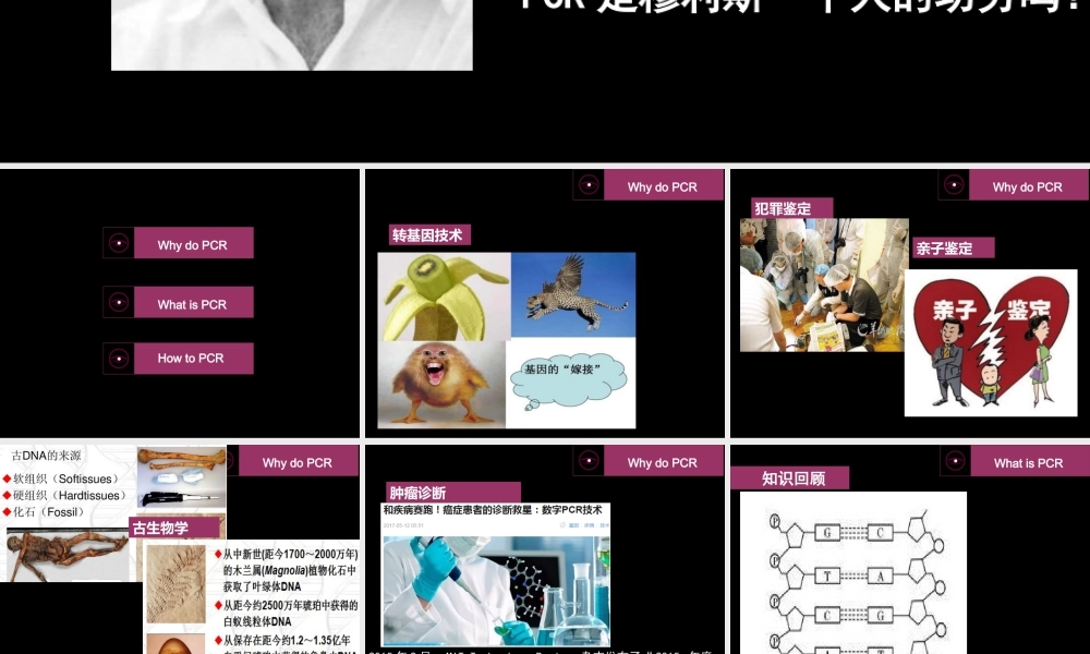 拓展视野-历史不能忘记中国对PCR的贡献