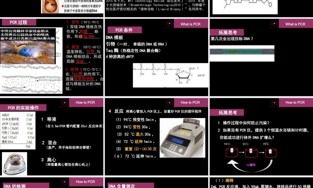拓展视野-历史不能忘记中国对PCR的贡献