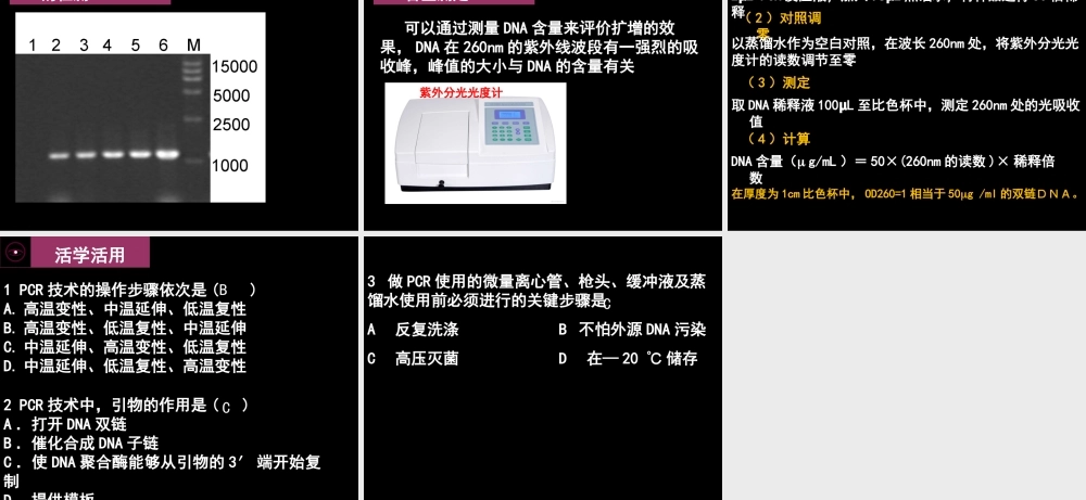 拓展视野-历史不能忘记中国对PCR的贡献