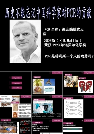 拓展视野-历史不能忘记中国对PCR的贡献
