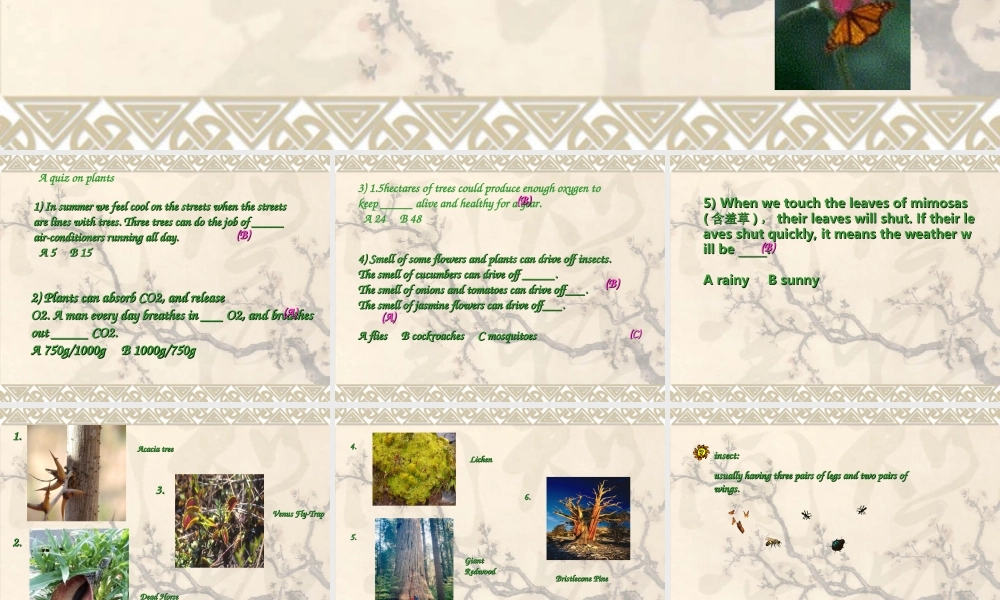 高中英语：Unit3 the weird world of plants-reading课件(牛津上海版S1B) 课件