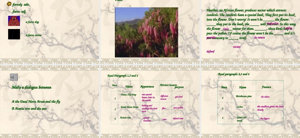 高中英语：Unit3 the weird world of plants-reading课件(牛津上海版S1B) 课件