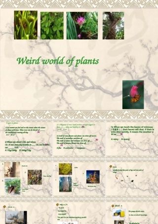 高中英语：Unit3 the weird world of plants-reading课件(牛津上海版S1B) 课件