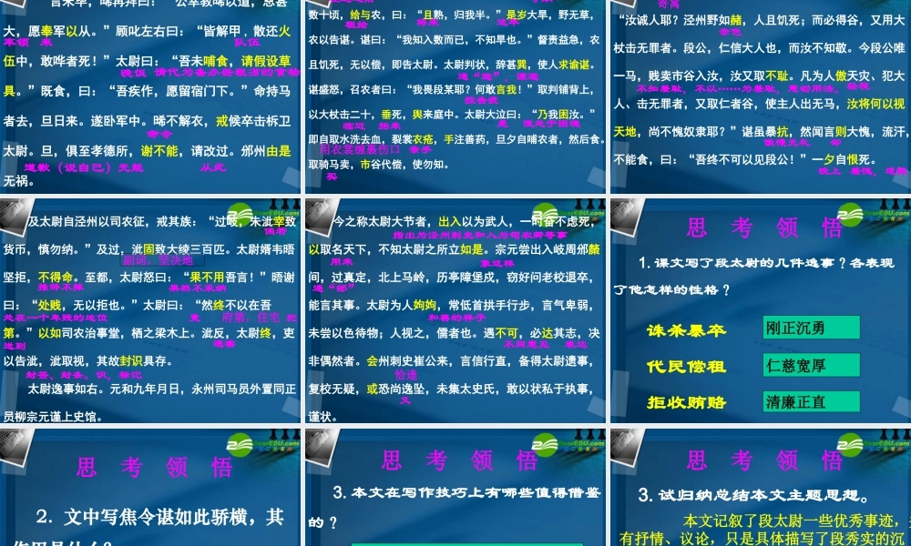 高中语文(段太尉逸事)教学课件 粤教版必修5 课件