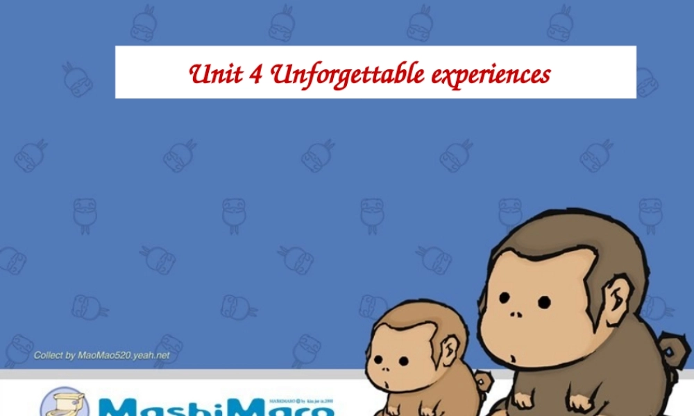 高一英语Unit4 unforgettable experience 新课标 人教版 课件