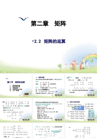 高二数学上册 9.2(矩阵的运算)课件1 沪教版 课件