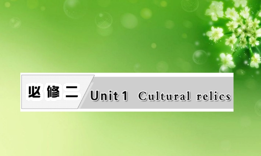 高考英语复习 Unit1 Cultural relics专题课件 新人教版必修2 课件
