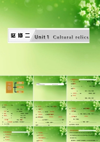 高考英语复习 Unit1 Cultural relics专题课件 新人教版必修2 课件