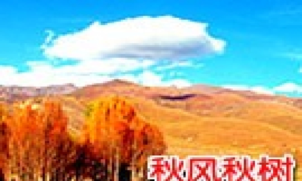 “风景如画”课件