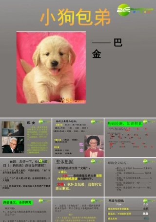 高中语文(小狗包弟) 教学课件 新人教版必修1 课件