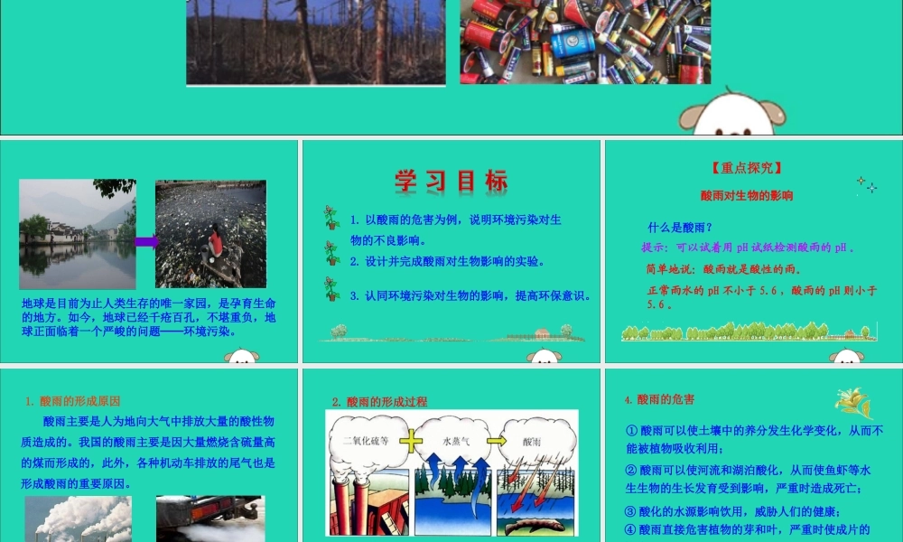 版七年级生物下册 第四单元 生物圈中的人 第七章 人类活动对生物圈的影响 第二节 探究环境污染对生物的影响训练课件 新人教版 课件