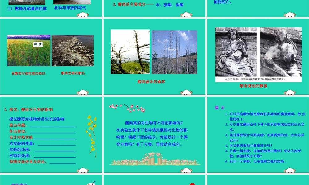 版七年级生物下册 第四单元 生物圈中的人 第七章 人类活动对生物圈的影响 第二节 探究环境污染对生物的影响训练课件 新人教版 课件