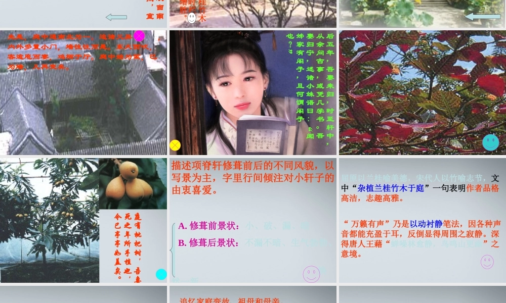 高中语文(项脊轩志)课件1 粤教版必修2 课件