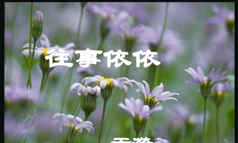 往事依依----