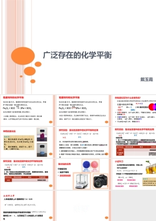 广泛存在的化学平衡
