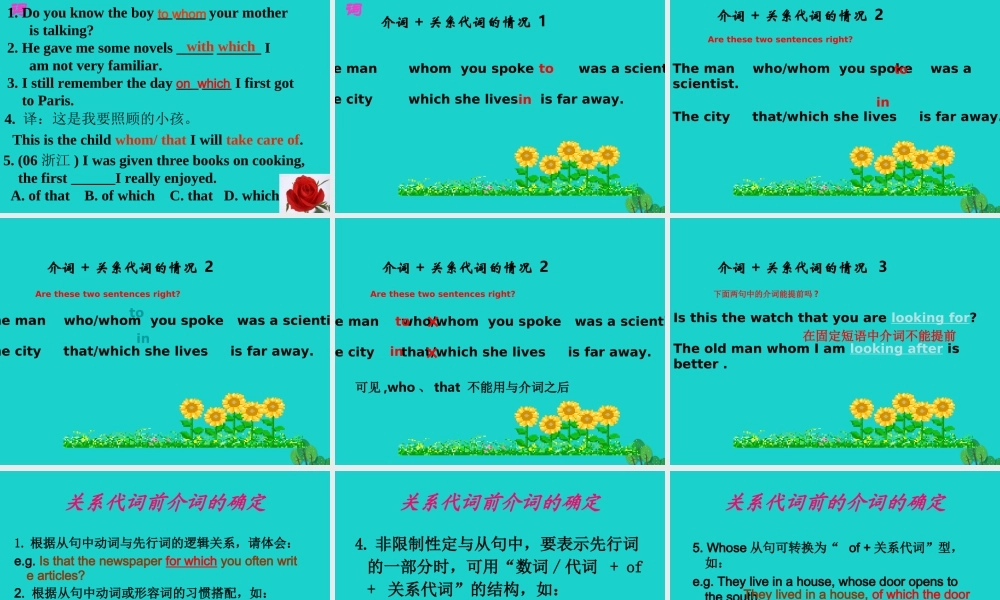 高中语法8大重点语法项目速通 6定语从句(二)课件