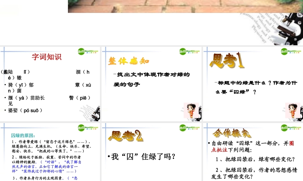 高中语文 第一单元之(囚绿记)课件 新人教版必修2 课件