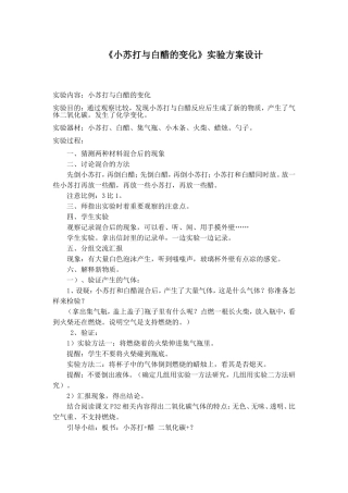 小学科学班--小苏打和白醋的实验方案--