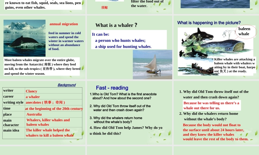 高中英语 Unit3 Reading教学课件 新人教版必修7 课件