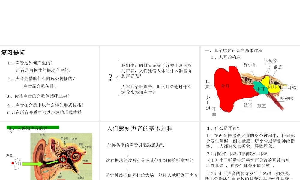 湖南省邵阳十中八年级物理 我们怎样听到声音课件 人教新课标版 课件