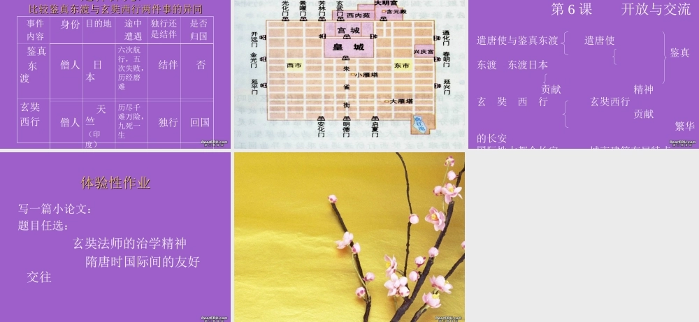 黑龙江省嫩江县七年级历史第6课开放与交流课件