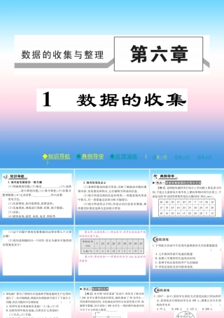 秋七年级数学上册 第六章 数据的收集与整理 1 数据的收集作业课件 (新版)北师大版 课件