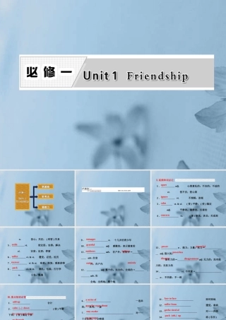 高考英语复习 Unit1 Friendship专题课件 新人教版必修1 课件
