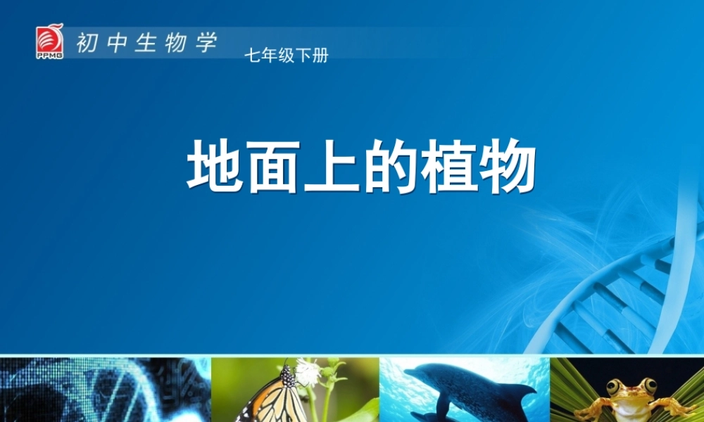 蕨类植物与苔藓植物-教学课件