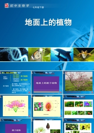 蕨类植物与苔藓植物-教学课件