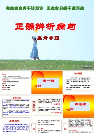 高考语文专题 正确辨析病句 试题