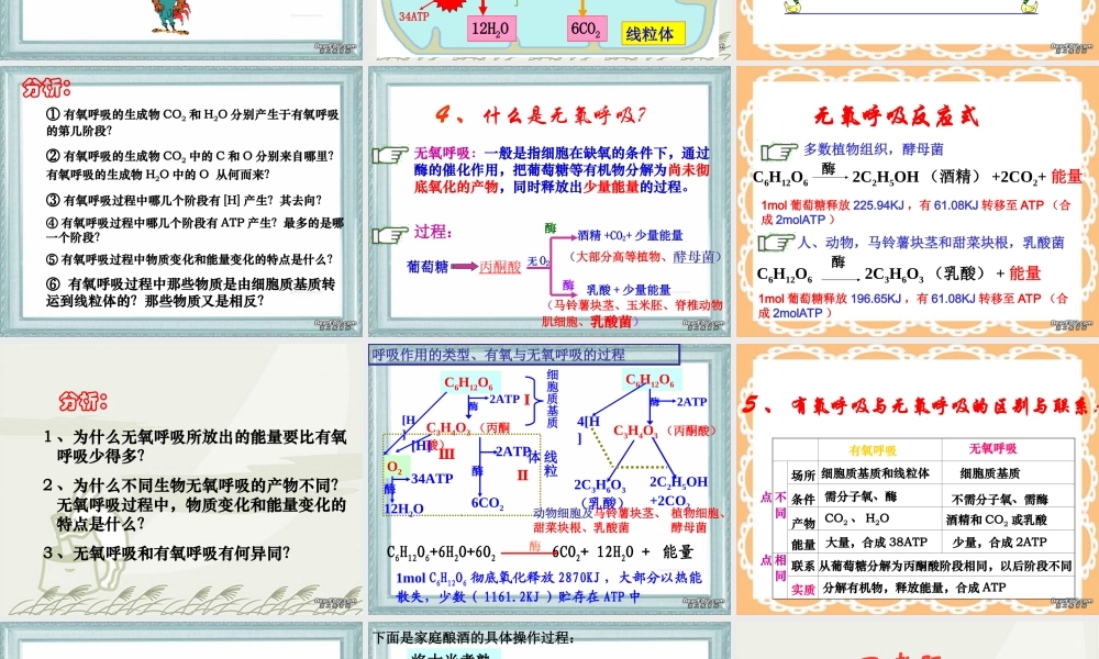 第七节 细胞呼吸ppt 高二生物第三章 生物的新陈代谢课件二[整理四课时]新课标 高二生物第三章 生物的新陈代谢课件二[整理四课时]新课标
