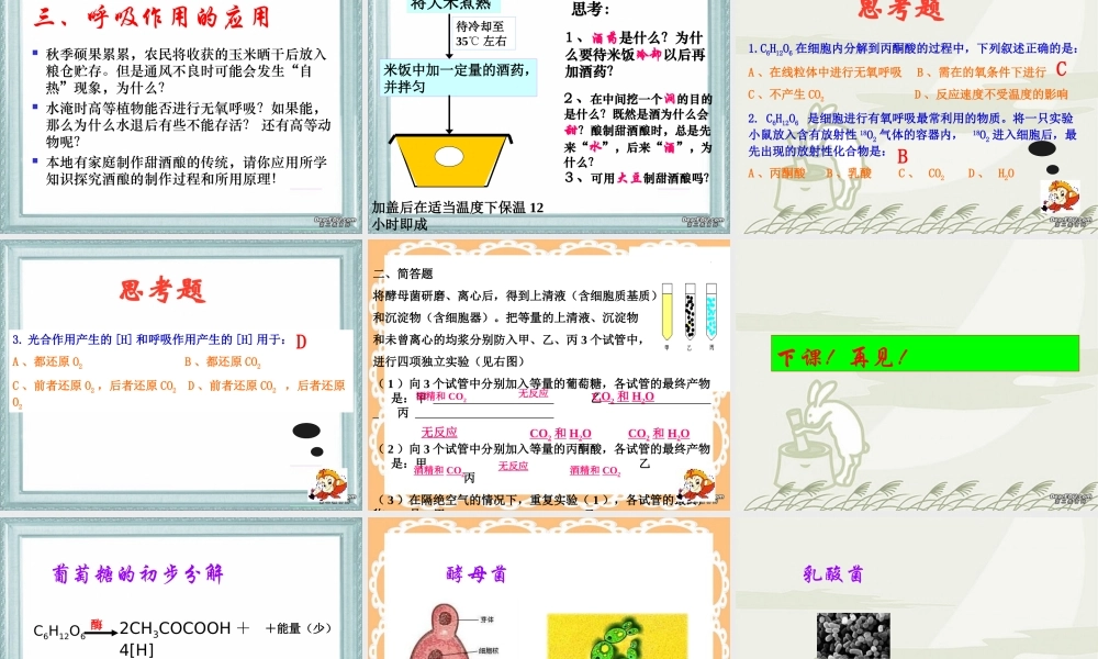 第七节 细胞呼吸ppt 高二生物第三章 生物的新陈代谢课件二[整理四课时]新课标 高二生物第三章 生物的新陈代谢课件二[整理四课时]新课标