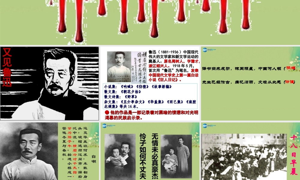 高中语文 记念刘和珍君课件 新人教版必修1 课件