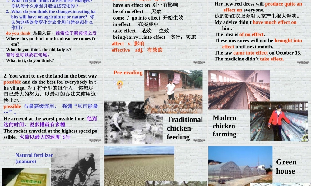 高一英语Unit19 agriculture课件 人教版 课件