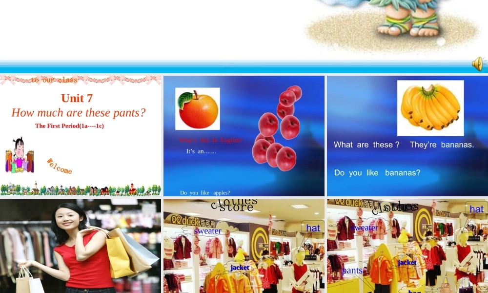 ZXXKCOM2010060617421336859