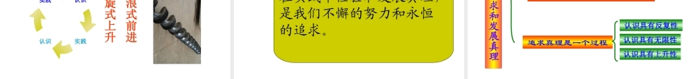实践中追求和发展真理PPT课件