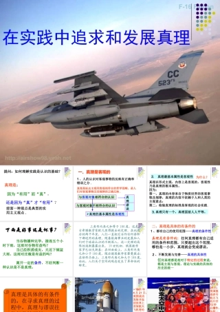 实践中追求和发展真理PPT课件