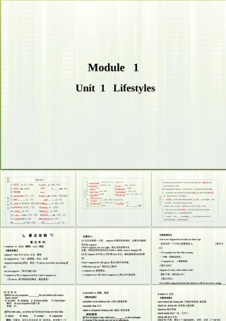 高考英语一轮复习 Module 1 Unit 1 Lifestyles课件 北师大版