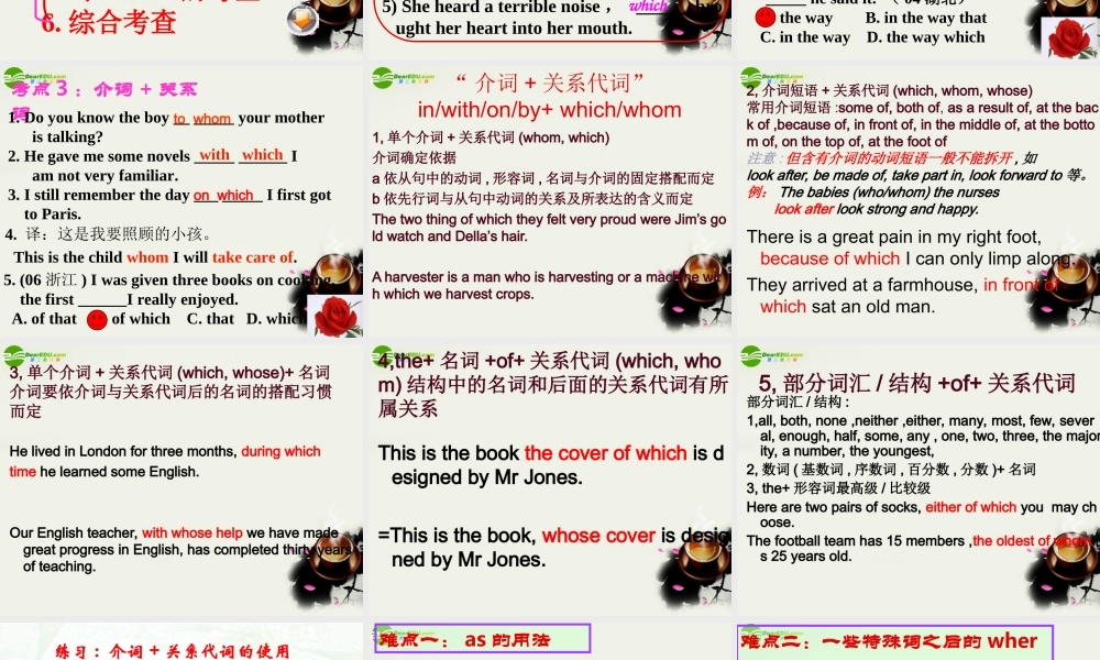 高中英语 Unit 1 定语从句复习课件 牛津译林版必修1