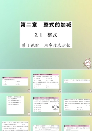 秋七年级数学上册 第2章 整式的加减 2.1 整式 第1课时 用字母表示数习题课件 (新版)新人教版 课件